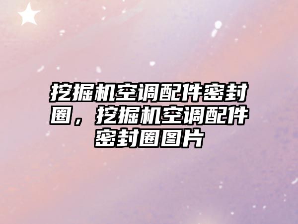 挖掘機(jī)空調(diào)配件密封圈，挖掘機(jī)空調(diào)配件密封圈圖片