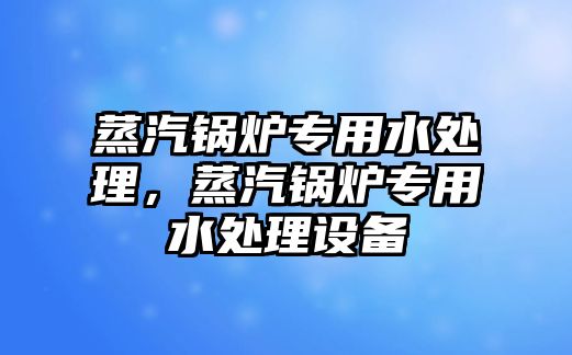 蒸汽鍋爐專用水處理，蒸汽鍋爐專用水處理設備