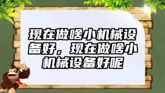 現(xiàn)在做啥小機(jī)械設(shè)備好，現(xiàn)在做啥小機(jī)械設(shè)備好呢