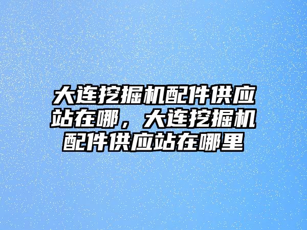 大連挖掘機(jī)配件供應(yīng)站在哪，大連挖掘機(jī)配件供應(yīng)站在哪里