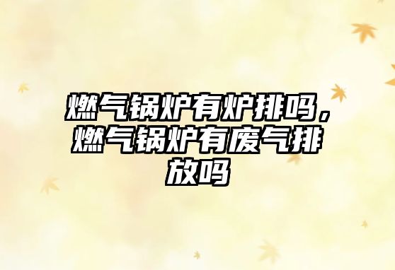 燃?xì)忮仩t有爐排嗎，燃?xì)忮仩t有廢氣排放嗎