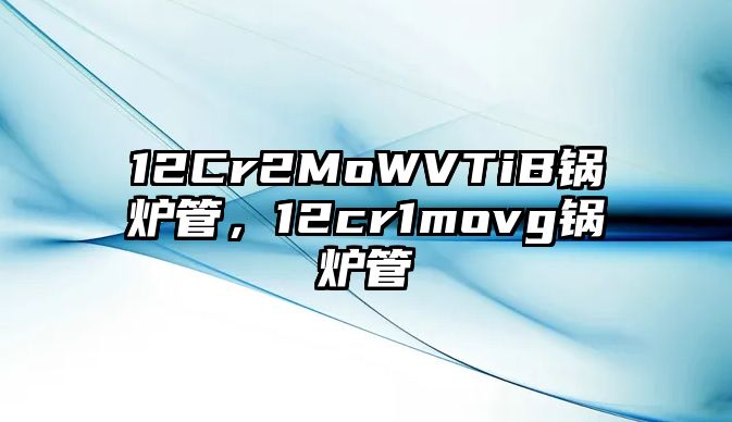 12Cr2MoWVTiB鍋爐管，12cr1movg鍋爐管