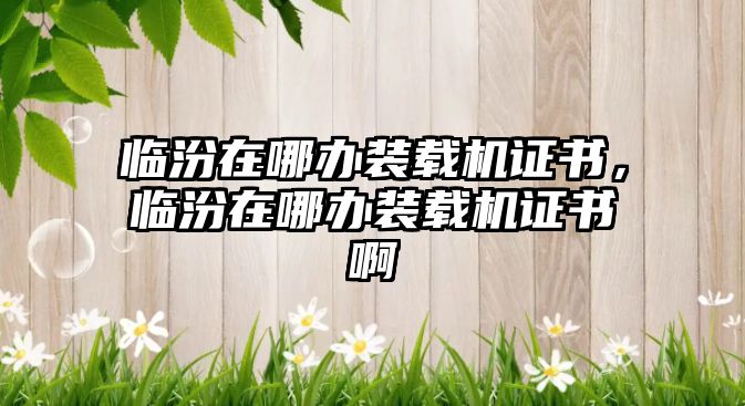 臨汾在哪辦裝載機證書，臨汾在哪辦裝載機證書啊