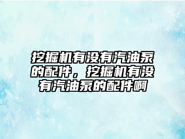 挖掘機(jī)有沒有汽油泵的配件，挖掘機(jī)有沒有汽油泵的配件啊