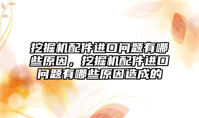 挖掘機配件進口問題有哪些原因，挖掘機配件進口問題有哪些原因造成的