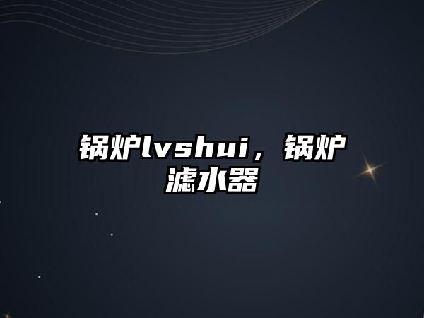 鍋爐lvshui，鍋爐濾水器