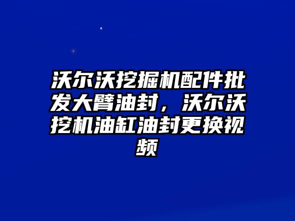 沃爾沃挖掘機(jī)配件批發(fā)大臂油封，沃爾沃挖機(jī)油缸油封更換視頻