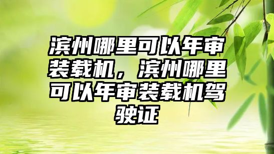 濱州哪里可以年審裝載機(jī)，濱州哪里可以年審裝載機(jī)駕駛證