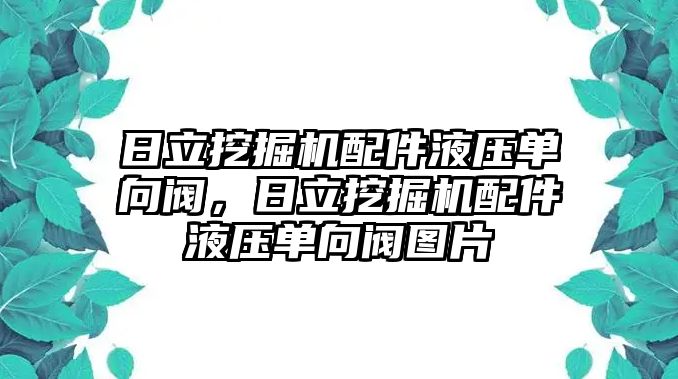 日立挖掘機(jī)配件液壓單向閥，日立挖掘機(jī)配件液壓單向閥圖片