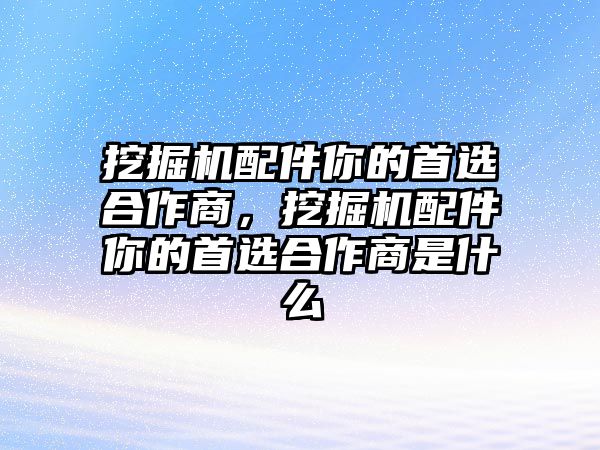 挖掘機(jī)配件你的首選合作商，挖掘機(jī)配件你的首選合作商是什么