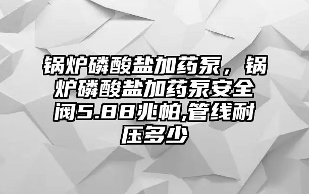 鍋爐磷酸鹽加藥泵，鍋爐磷酸鹽加藥泵安全閥5.88兆帕,管線(xiàn)耐壓多少