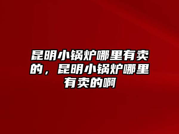 昆明小鍋爐哪里有賣的，昆明小鍋爐哪里有賣的啊