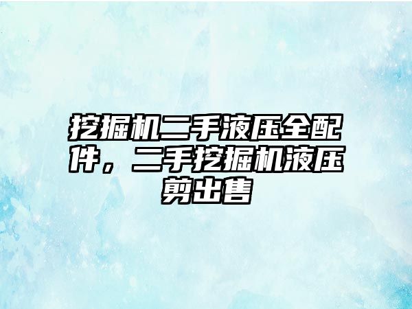 挖掘機二手液壓全配件，二手挖掘機液壓剪出售