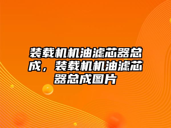 裝載機(jī)機(jī)油濾芯器總成，裝載機(jī)機(jī)油濾芯器總成圖片