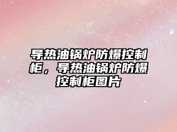 導熱油鍋爐防爆控制柜，導熱油鍋爐防爆控制柜圖片