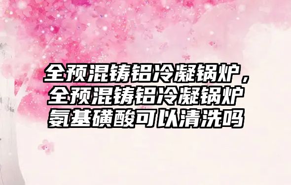 全預混鑄鋁冷凝鍋爐，全預混鑄鋁冷凝鍋爐氨基磺酸可以清洗嗎