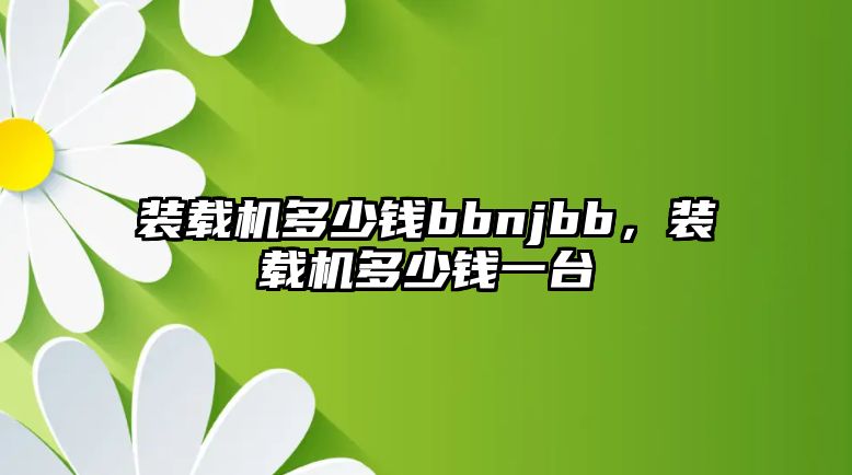 裝載機多少錢bbnjbb，裝載機多少錢一臺