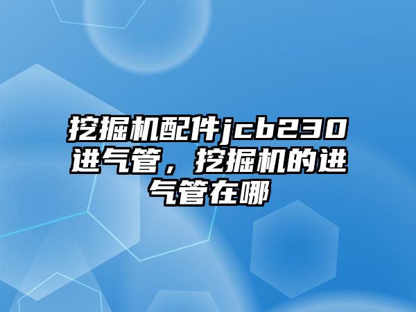 挖掘機配件jcb230進氣管，挖掘機的進氣管在哪