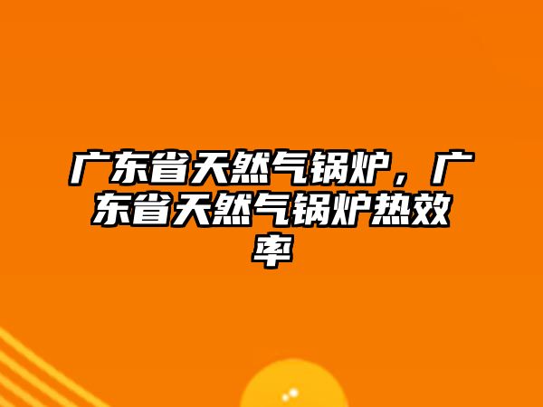 廣東省天然氣鍋爐，廣東省天然氣鍋爐熱效率