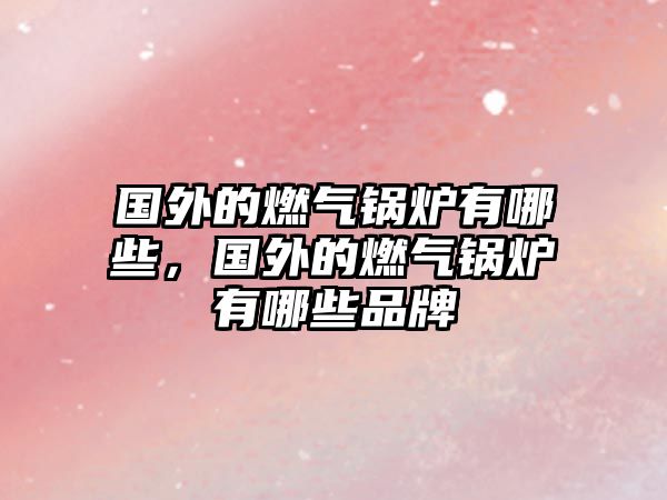 國外的燃?xì)忮仩t有哪些，國外的燃?xì)忮仩t有哪些品牌