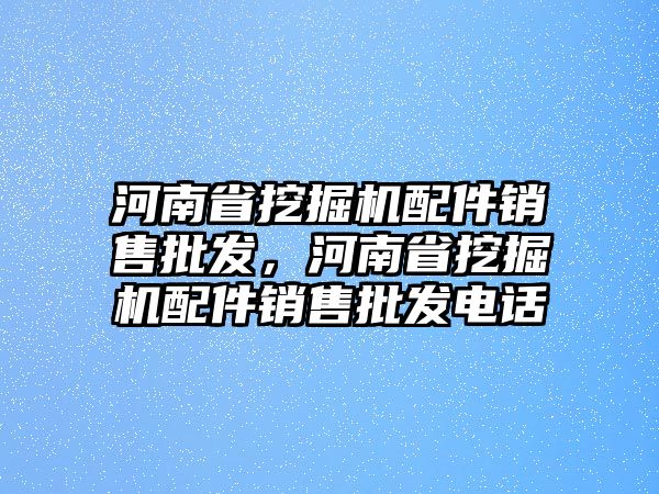 河南省挖掘機(jī)配件銷售批發(fā)，河南省挖掘機(jī)配件銷售批發(fā)電話