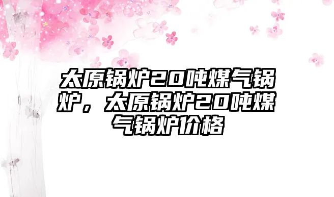 太原鍋爐20噸煤氣鍋爐，太原鍋爐20噸煤氣鍋爐價(jià)格