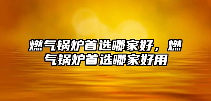 燃?xì)忮仩t首選哪家好，燃?xì)忮仩t首選哪家好用