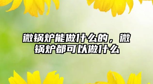 微鍋爐能做什么的，微鍋爐都可以做什么