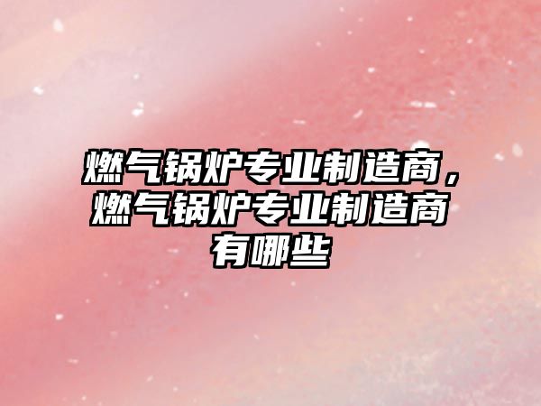 燃?xì)忮仩t專業(yè)制造商，燃?xì)忮仩t專業(yè)制造商有哪些