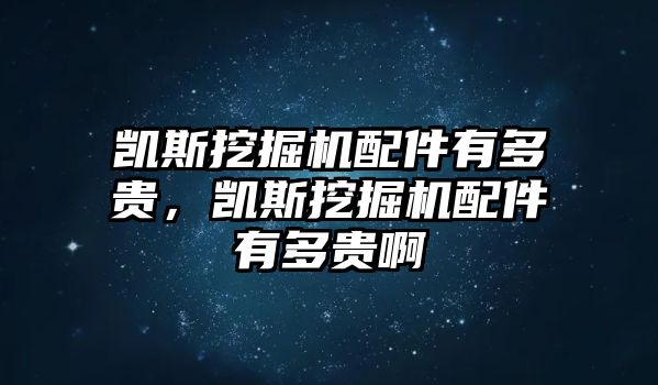 凱斯挖掘機配件有多貴，凱斯挖掘機配件有多貴啊