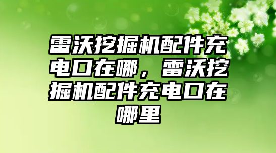 雷沃挖掘機(jī)配件充電口在哪，雷沃挖掘機(jī)配件充電口在哪里