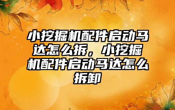 小挖掘機配件啟動馬達怎么拆，小挖掘機配件啟動馬達怎么拆卸