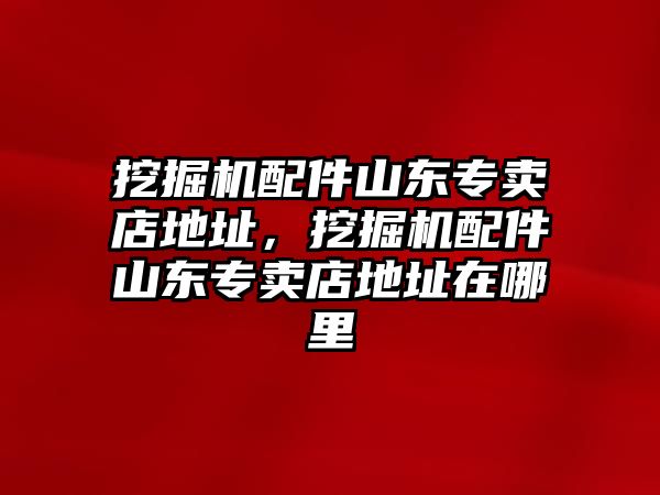 挖掘機配件山東專賣店地址，挖掘機配件山東專賣店地址在哪里