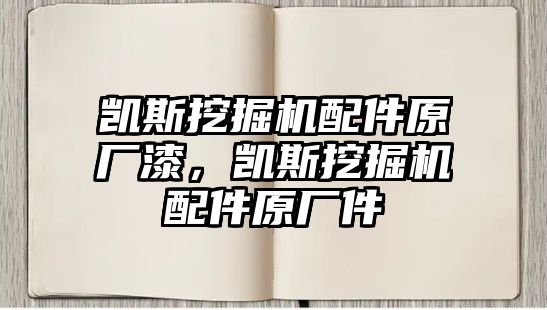 凱斯挖掘機(jī)配件原廠漆，凱斯挖掘機(jī)配件原廠件