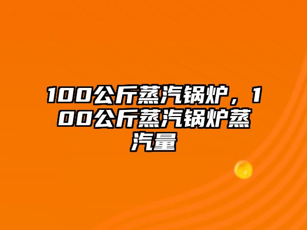 100公斤蒸汽鍋爐，100公斤蒸汽鍋爐蒸汽量