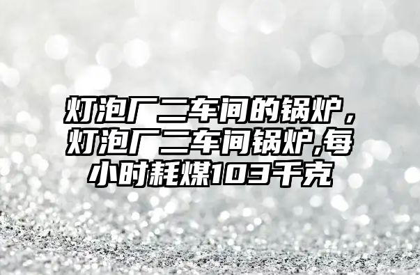 燈泡廠二車間的鍋爐，燈泡廠二車間鍋爐,每小時耗煤103千克