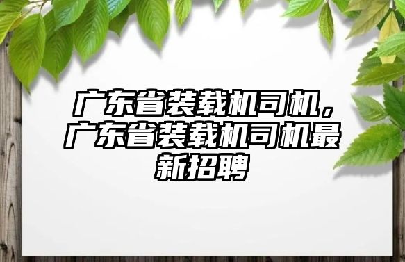 廣東省裝載機司機，廣東省裝載機司機最新招聘