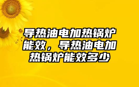 導熱油電加熱鍋爐能效，導熱油電加熱鍋爐能效多少