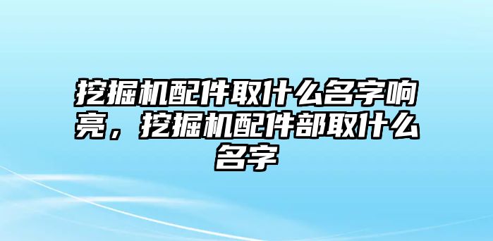 挖掘機配件取什么名字響亮，挖掘機配件部取什么名字