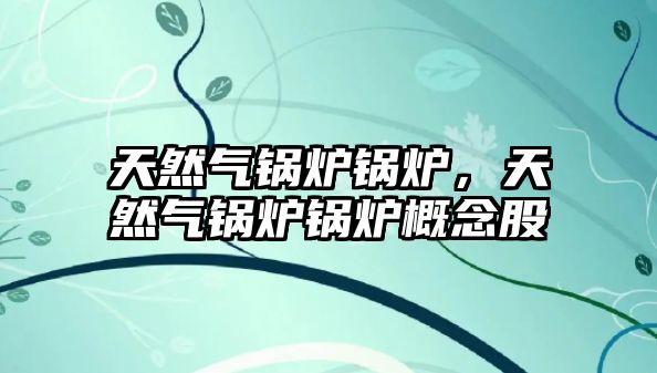 天然氣鍋爐鍋爐，天然氣鍋爐鍋爐概念股