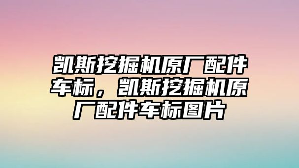 凱斯挖掘機(jī)原廠配件車標(biāo)，凱斯挖掘機(jī)原廠配件車標(biāo)圖片