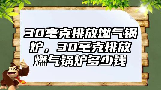 30毫克排放燃氣鍋爐，30毫克排放燃氣鍋爐多少錢