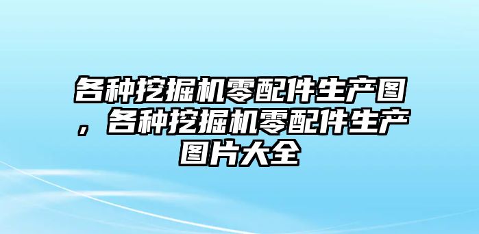 各種挖掘機(jī)零配件生產(chǎn)圖，各種挖掘機(jī)零配件生產(chǎn)圖片大全