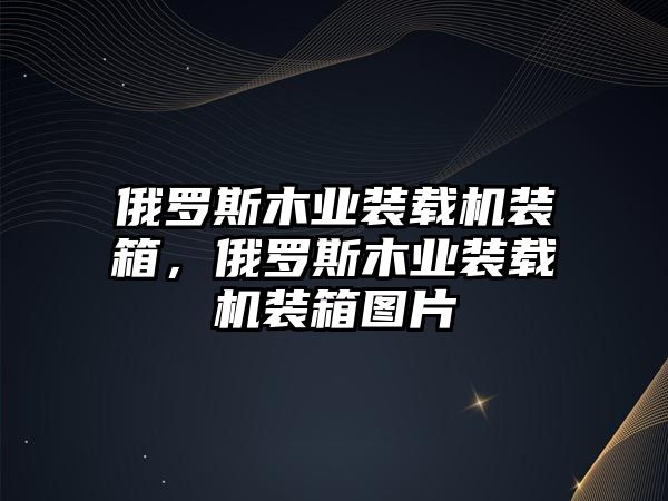 俄羅斯木業(yè)裝載機裝箱，俄羅斯木業(yè)裝載機裝箱圖片