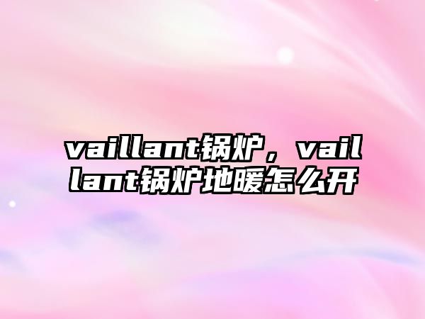 vaillant鍋爐，vaillant鍋爐地暖怎么開