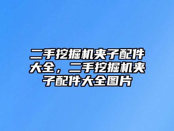 二手挖掘機(jī)夾子配件大全，二手挖掘機(jī)夾子配件大全圖片