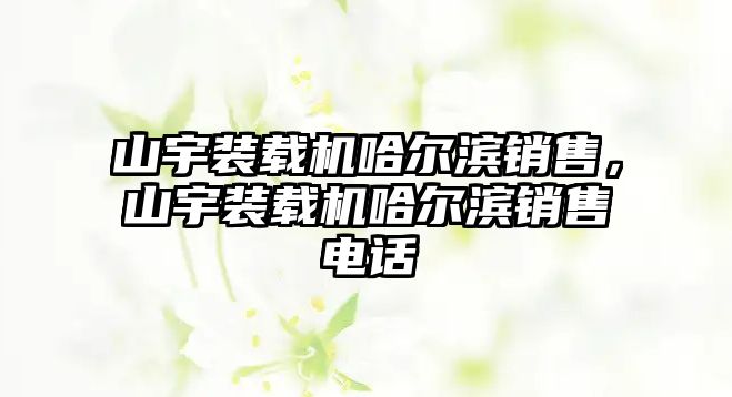 山宇裝載機哈爾濱銷售，山宇裝載機哈爾濱銷售電話