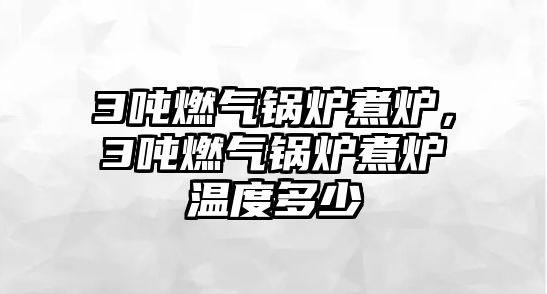 3噸燃?xì)忮仩t煮爐，3噸燃?xì)忮仩t煮爐溫度多少