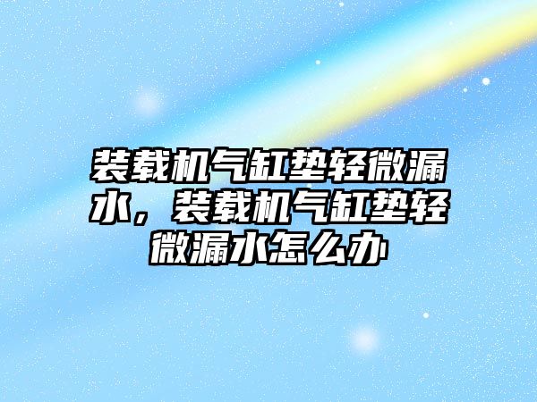 裝載機氣缸墊輕微漏水，裝載機氣缸墊輕微漏水怎么辦