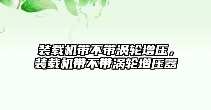 裝載機(jī)帶不帶渦輪增壓，裝載機(jī)帶不帶渦輪增壓器